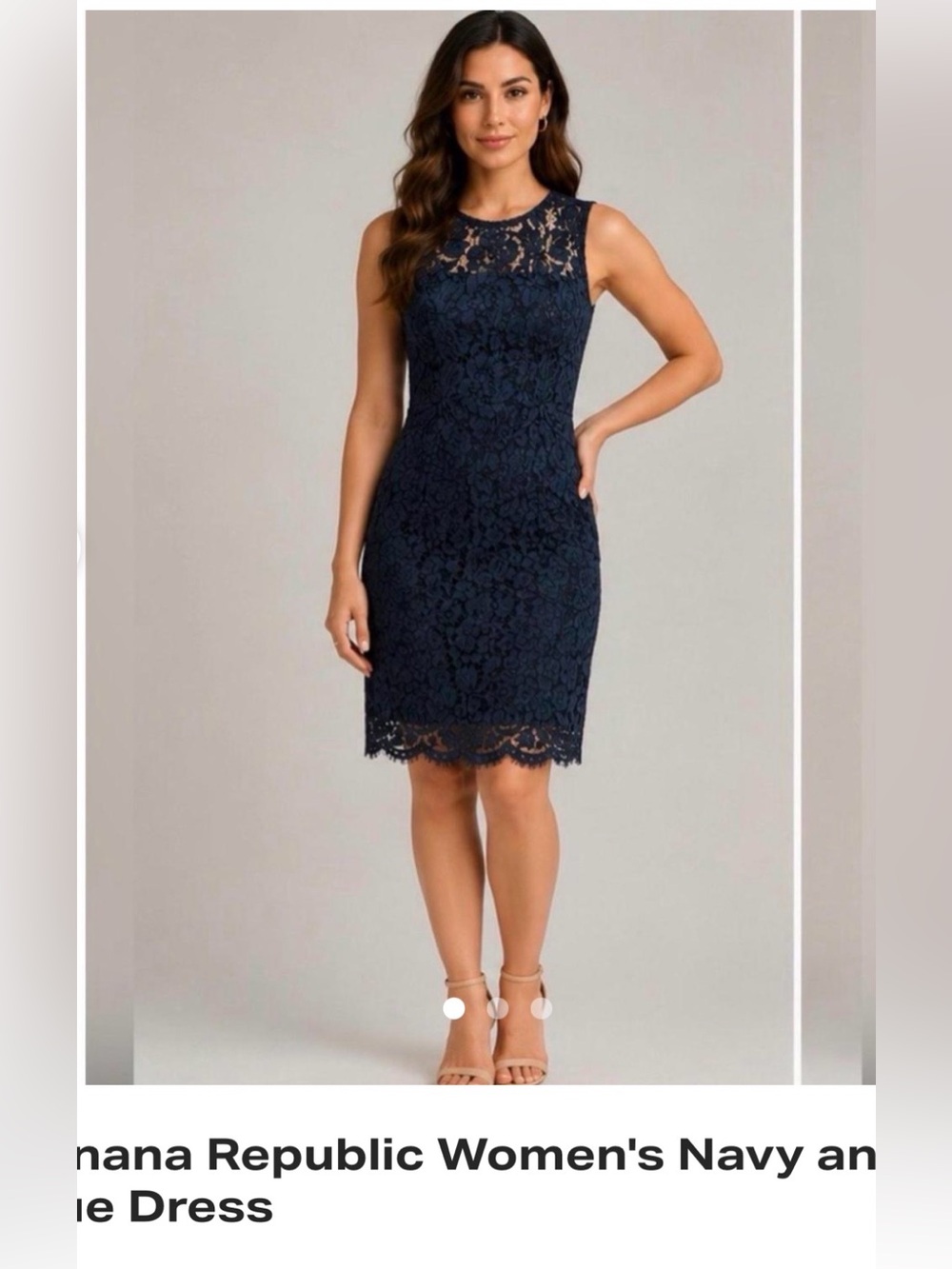 Dark Navy Blue Banana Republic Floral Lace Illusion Sheath, Dress